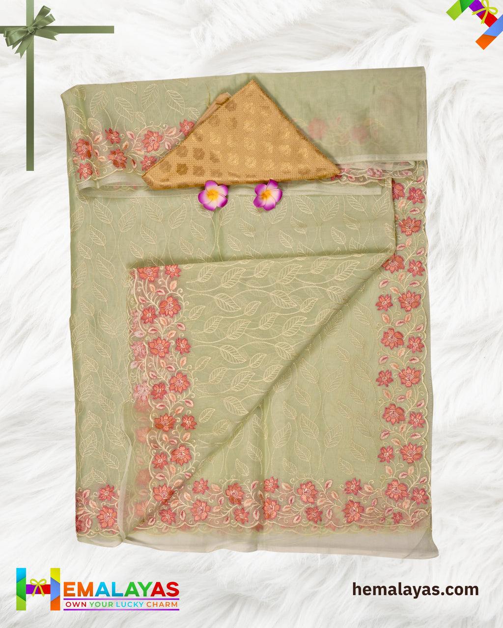 Pastel Green Banaras Kora Organza Embroidery Saree