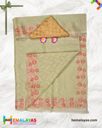 Pastel Green Banaras Kora Organza Embroidery Saree