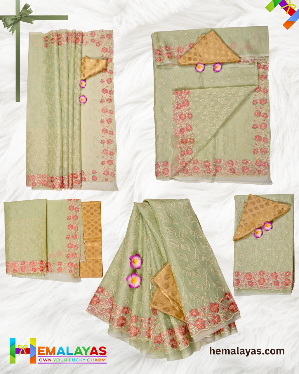 Pastel Green Banaras Kora Organza Embroidery Saree